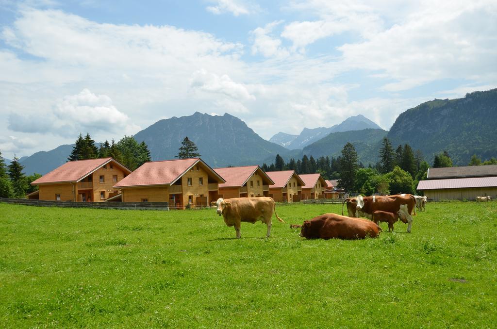 Feriendorf Am Hahnenkamm Reutte Eksteriør billede